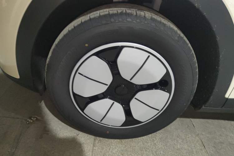 Used  Geome 2025 310km Youth Edition
