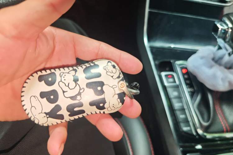 Used Haima 8S 2020 1.6 TGDI Automatic Luxury Model
