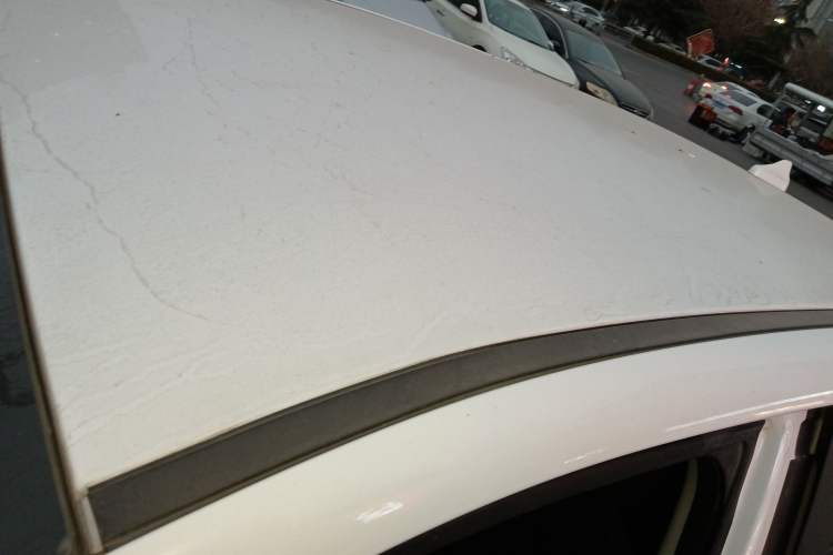 Used Dayun Yuehu 2022 300 Standard Edition
