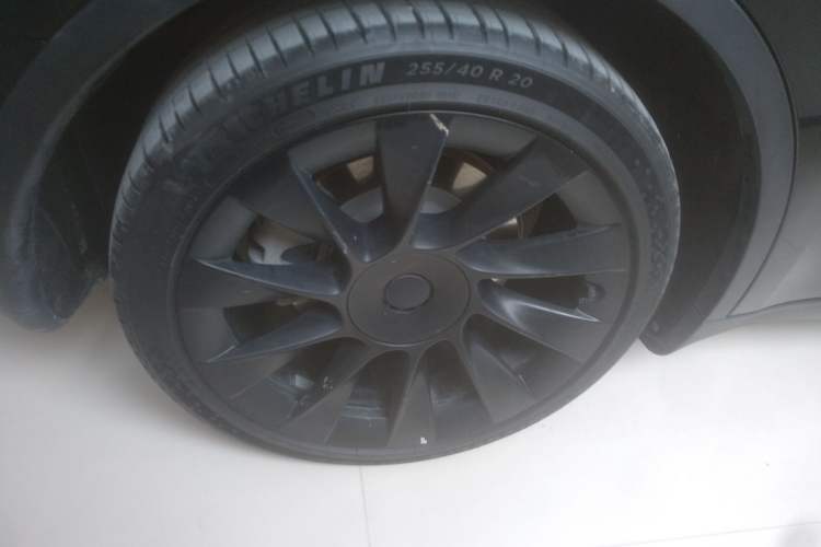 Used Tesla Model Y 2021 Standard Range Rear-Wheel Drive Version
