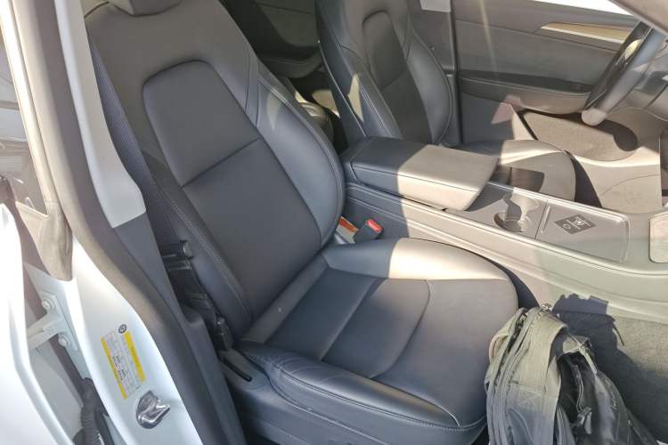 Used Tesla Model Y 2021 Standard Range Rear-Wheel Drive Version
