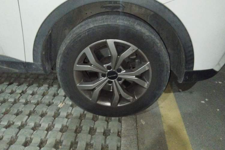 Used Haval H6 2021 China Trend Edition 1.5 GDIT Automatic Champion Version