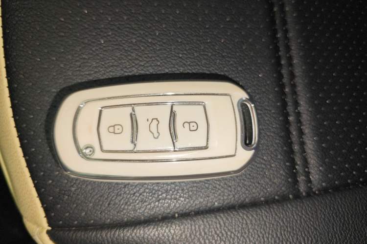 Used  Panda 2025 210km Panda Rider
