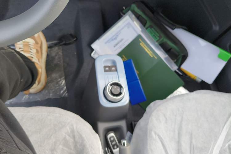 Used  Panda 2024 Panda Mini 200km Endurance Bear
