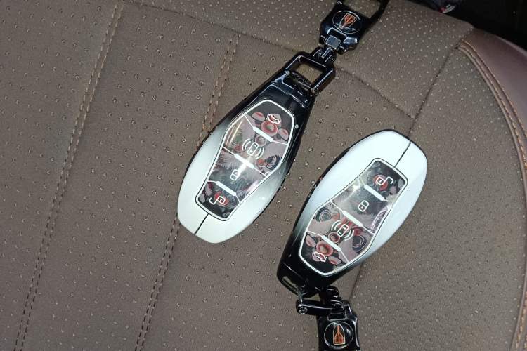 Used Hongqi HS3 PHEV 2025 Model 117km Jingwei Edition