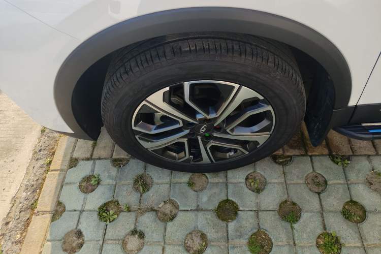 Used Chery Tiggo 7 PLUS 2023 Champion Edition 1.5 TCI CVT Extraordinary Version
