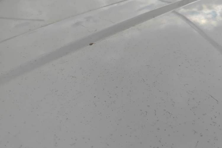 Used Wuling Hongguang New Energy 2024 All-Electric Model 300KM Practical Version