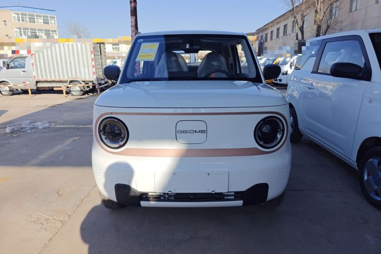 Used  Panda 2024 Panda Mini 200km Endurance Bear