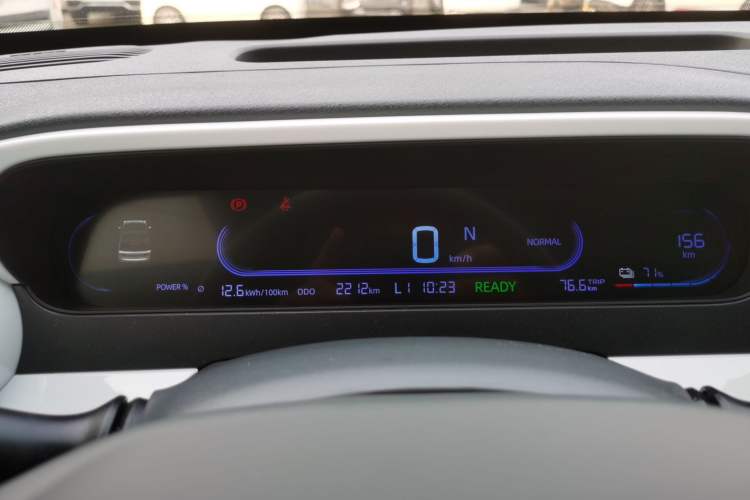 Used  Panda 2025 210 km – Yuanqi Bear
