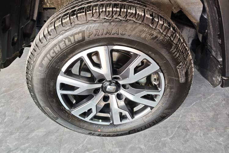 Used Tank 300 2024 2.0T Crosser
