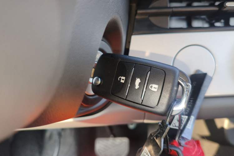 Used  Lumin 2025 205 km Xiangqin Version