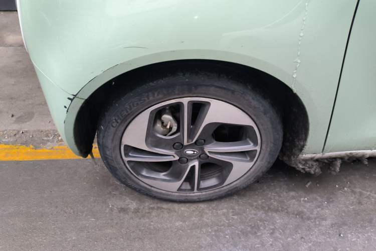 Used ORA Black Cat 2022 351 km Comfort Version Ternary Lithium
