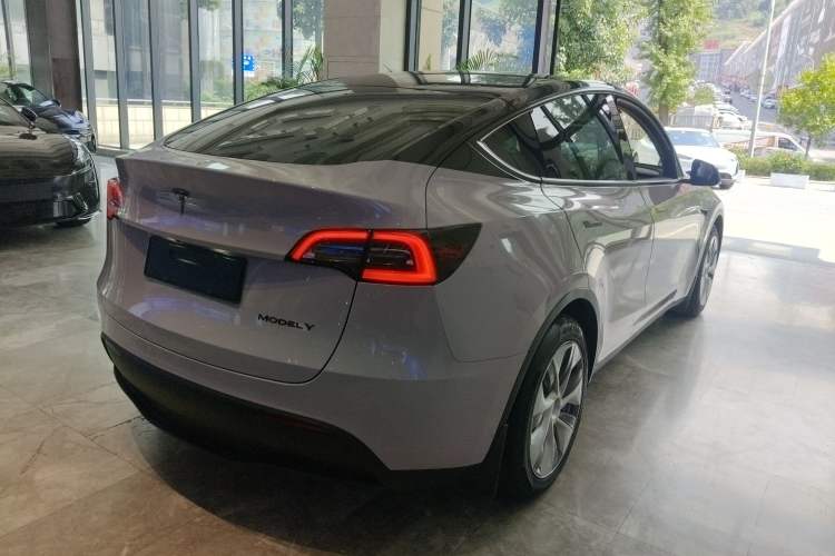 Used Tesla Model Y 2021 Standard Range Rear-Wheel Drive Version
