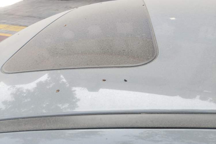 Used Hyundai Elantra 2021 1.5L CVT GLX Elite Edition