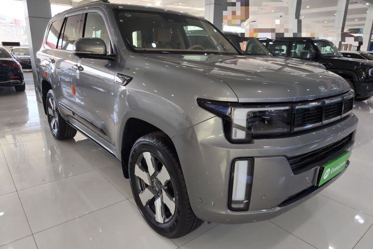 Used  BJ60 Leiting 2024 Magic Electric Drive Advanced Version 5 Seats