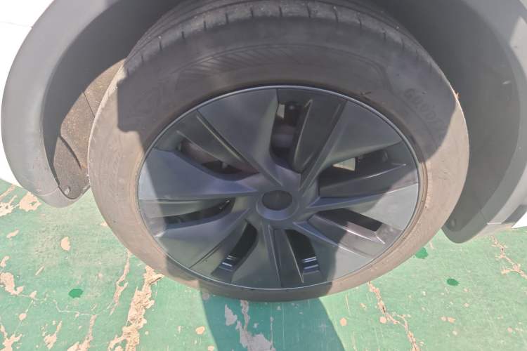 Used Tesla Model Y 2023 Rear-Wheel-Drive Version