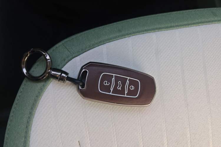 Used  Panda 2025 210 km – Yuanqi Bear
