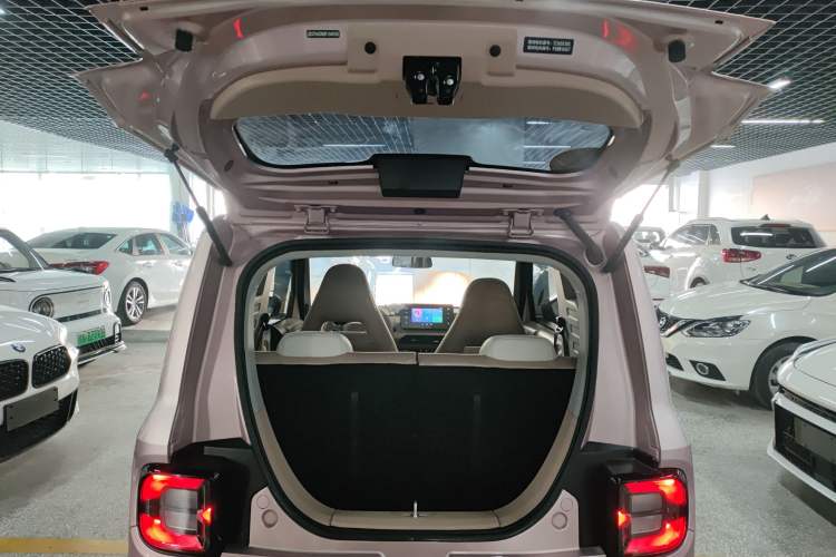 Used  Panda 2023 Panda Mini 200km Endurance Bear
