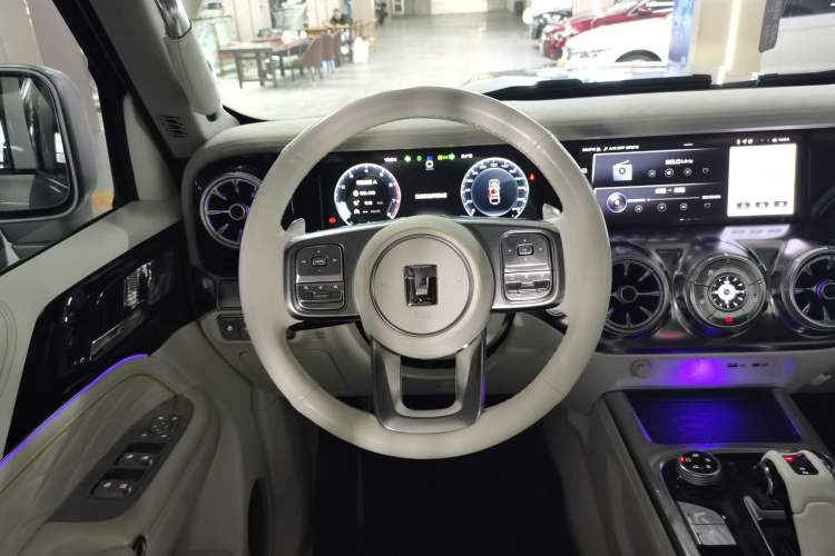 Used Cyberspace Tank 300 2021 2.0T Cyber Tank