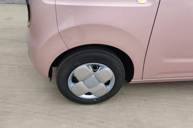 Used  Panda 2024 Panda Mini 200km Endurance Bear
