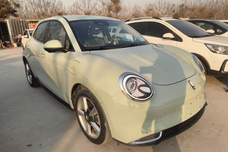 Used ORA Good Cat 2022 Morandi Edition 400km Standard Range Luxury Version Lithium-Ion Battery