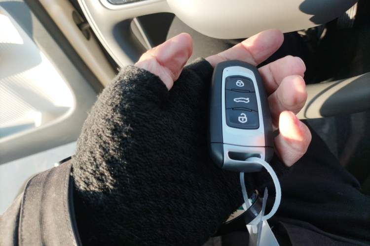 Used  Panda 2025 210 km – Yuanqi Bear
