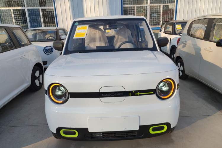 Used  Panda 2025 210 km – Yuanqi Bear
