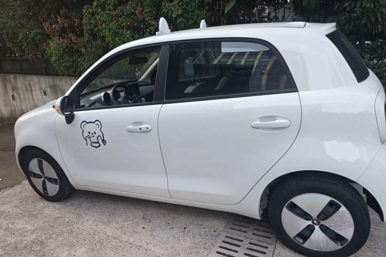 Used ORA Black Cat 2022 Updated Version 301 km Cute Pet Edition Lithium Iron Phosphate
