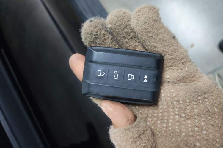 Used Tank 300 2024 2.0T Conqueror
