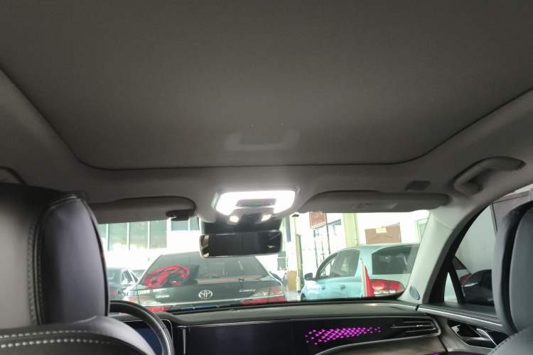 Used Hongqi H9 2020 2.0T Smart Connect Flagship Edition