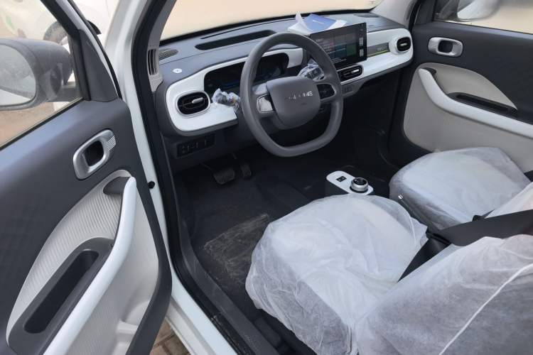 Used  Panda 2025 210 km – Yuanqi Bear