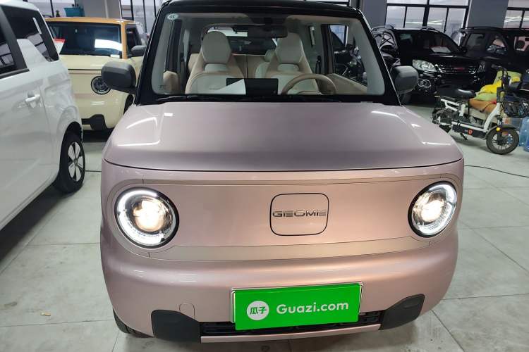 Used  Panda 2023 Panda Mini 200km Dynamic Bear