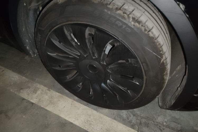 Used Tesla Model Y 2023 Long-Range All-Wheel-Drive Version
