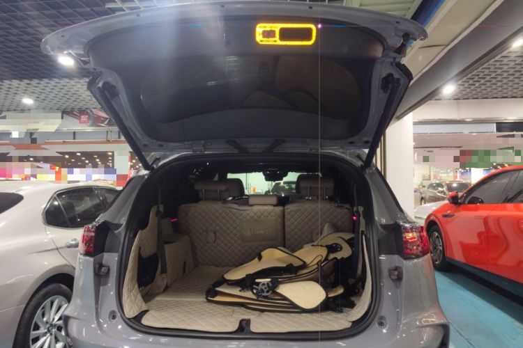 Used BYD Tang New Energy 2025 DM-i 115KM Prestige Model