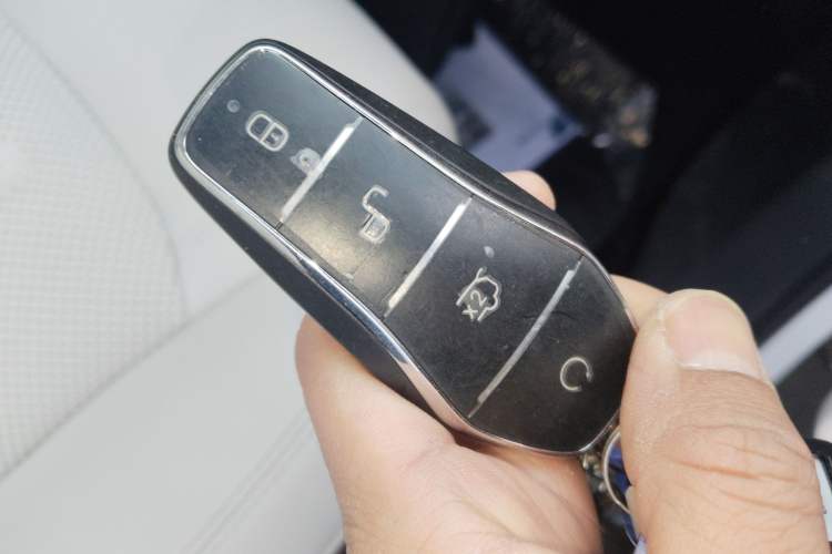 Used BYD Xia 2025 DM-i 1.5T 100km Leading Model
