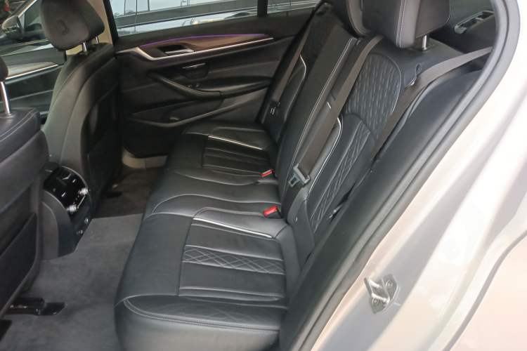 Used BMW 5 Series New Energy 2019 530Le Luxury Package