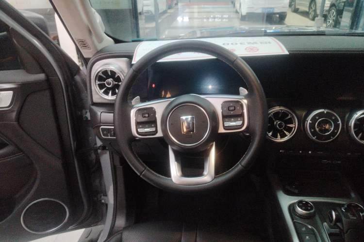 Used Tank 300 2024 2.0T Conqueror
