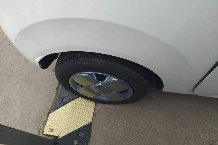 Used  Panda 2024 Panda Mini 200km Endurance Bear
