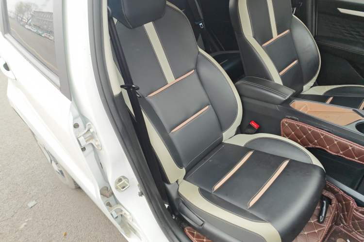 Used SOL E10X 2022 Flower Fairy Style Baby's Breath