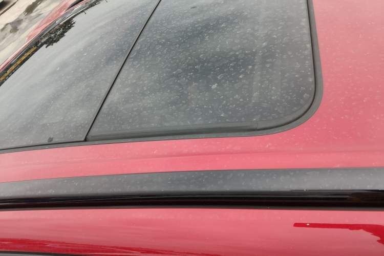 Used Haval LHERY 2021 High-Performance Version 1.5T Golden Rabbit