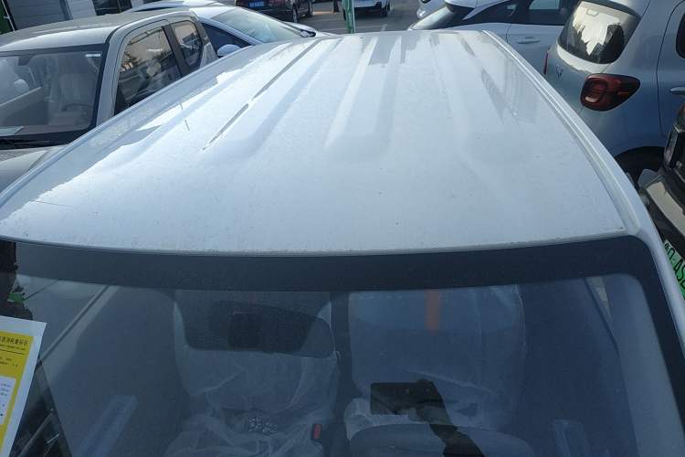 Used  Panda 2024 Panda Mini 200km Endurance Bear
