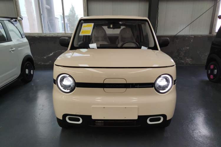 Used  Panda 2025 210 km – Yuanqi Bear
