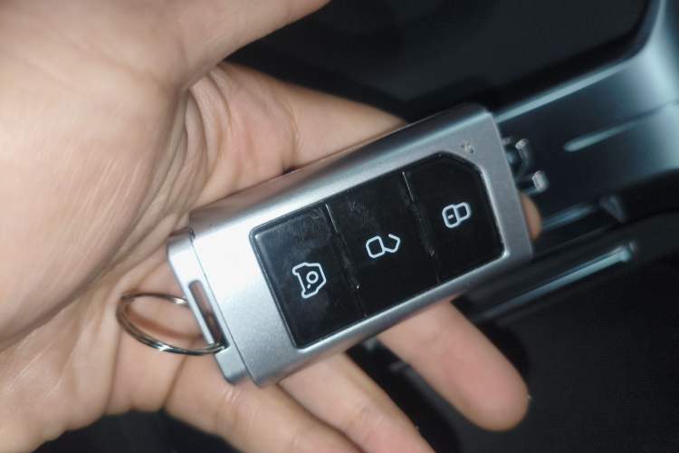 Used  T01 2024 2.0T Mechanic