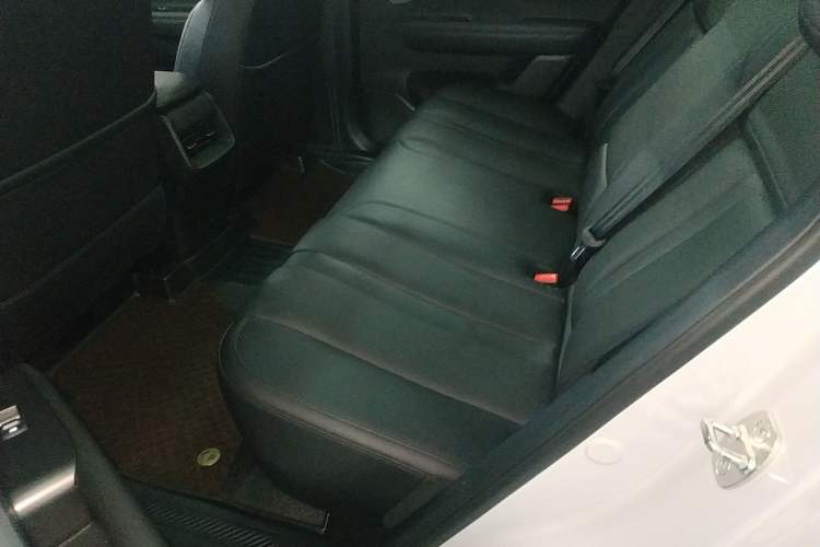 Used Wuling Xingguang S 2024 510 km Flagship Version
