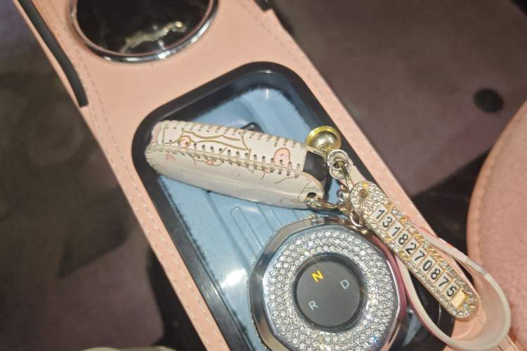 Used  Panda 2023 Panda Mini 200km Endurance Bear
