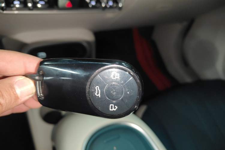 Used ORA Good Cat 2023 401 km Standard Range Luxury Version Lithium Iron Phosphate
