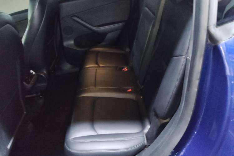 Used Tesla Model Y 2021 Standard Range Rear-Wheel Drive Version
