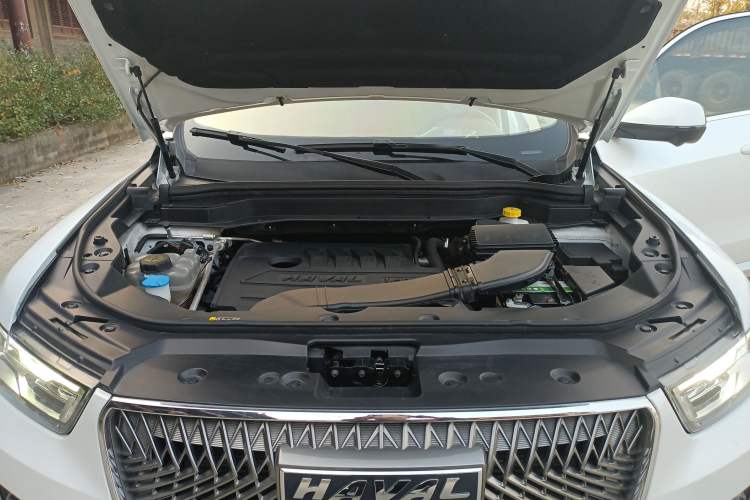 Used Haval H6 2021 1.5 GDIT Automatic Champion Edition
