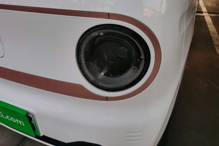 Used  Panda 2024 Panda Mini 200km Endurance Bear