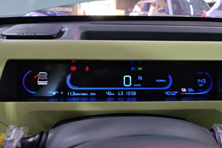 Used  Panda 2024 Panda Mini 200km Endurance Bear
